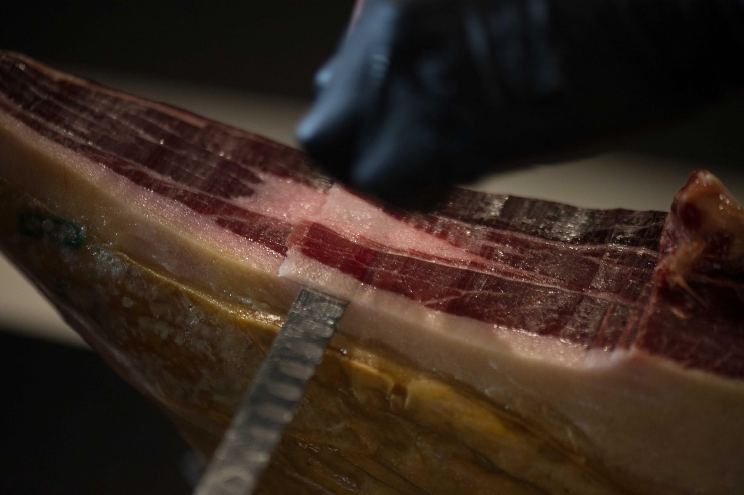 BELLOTERRA | Jamón de Cebo de Campo 50% Ibérico | 8,5-9 kg | Curación 24-30 Meses | Raza Ibérica en Régimen de Campo | Sabor Tradicional y Aroma Equilibrado
