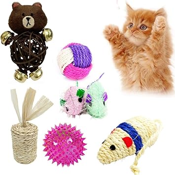 cat toys amazon india