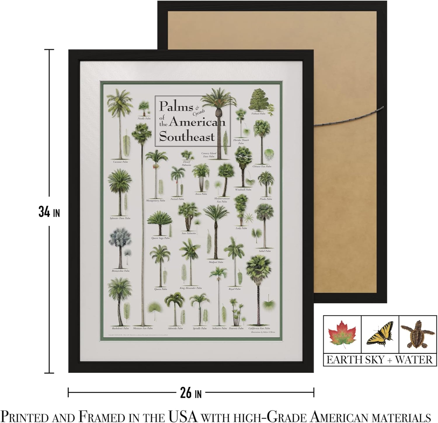 Earth Sky + Water - Palms & Cycads of the American Southeast - Double-matted Posters with Black Frame