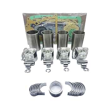 WZCPSM V1100 Overhaul Rebuild Kit (Without Valves) Replacement for