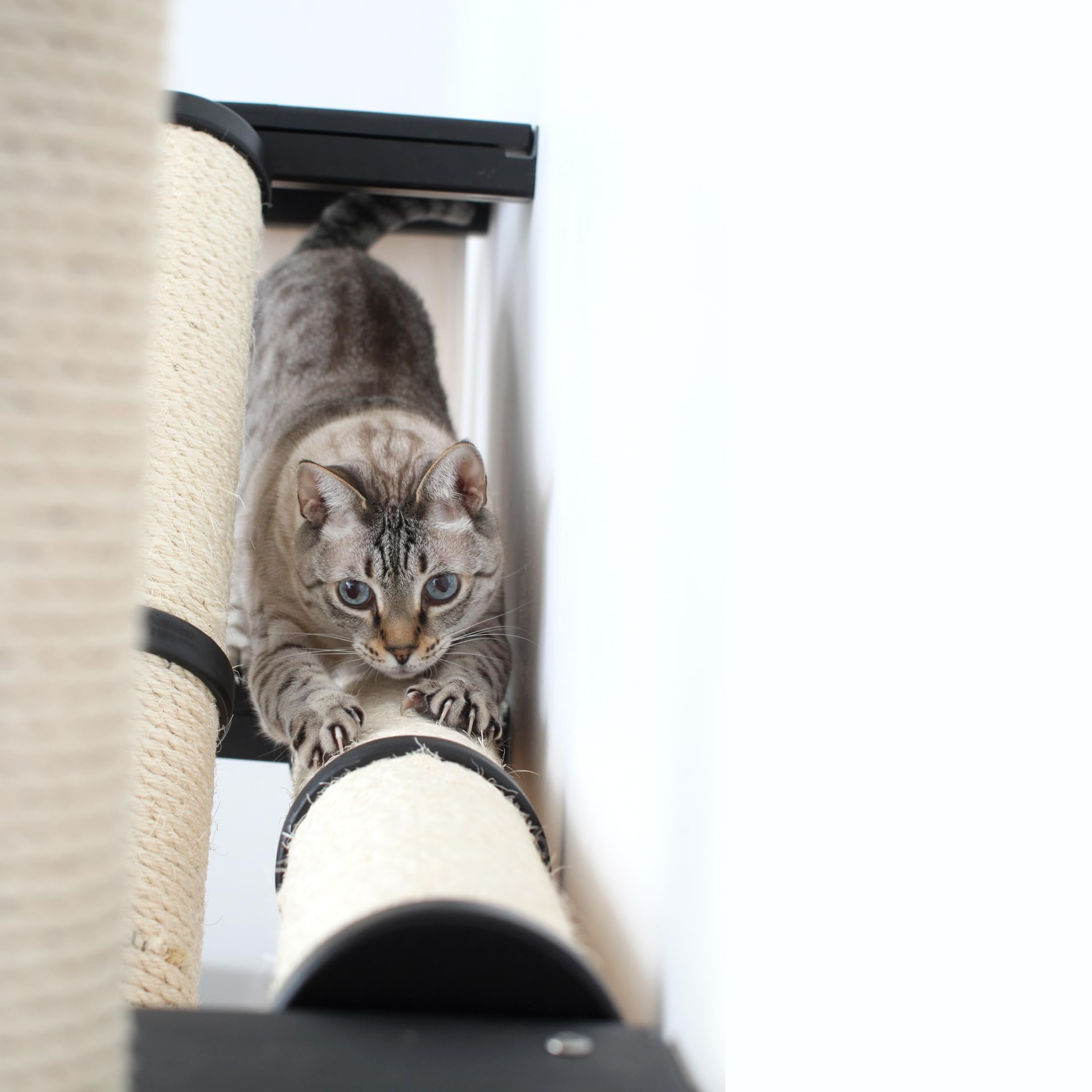 Catastrophic Creations- The Crossroads Wall Cat Scratcher - 16