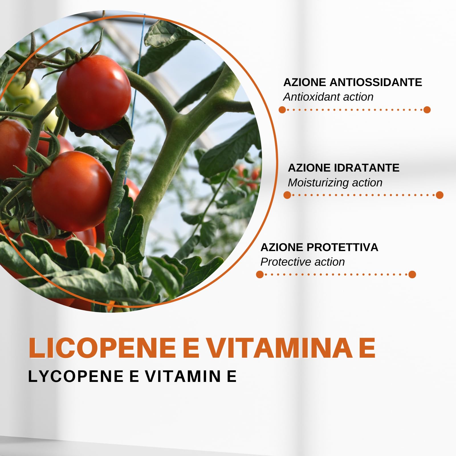 Lycolash Siero Ciglia e Sopracciglia Booster | Azione Allungante e Infoltente | Ciglia più Lunghe e Rinforzate | 5 ml
