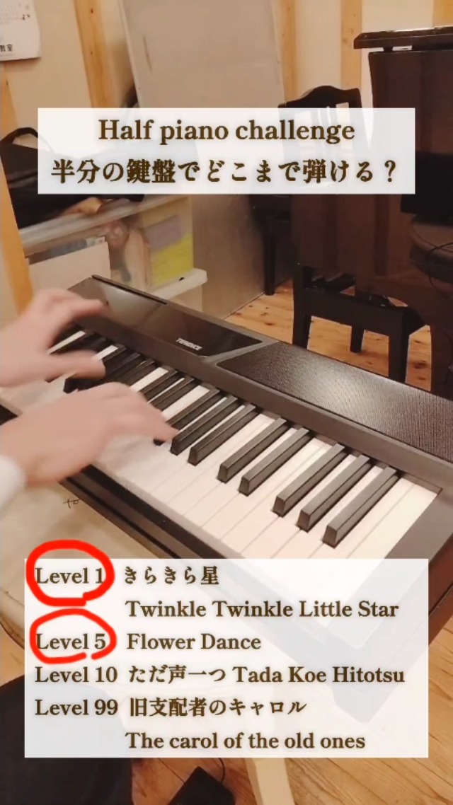 Amazon.co.jp: TERENCE 折り畳み 電子ピアノ 88鍵盤 30Wデュアル