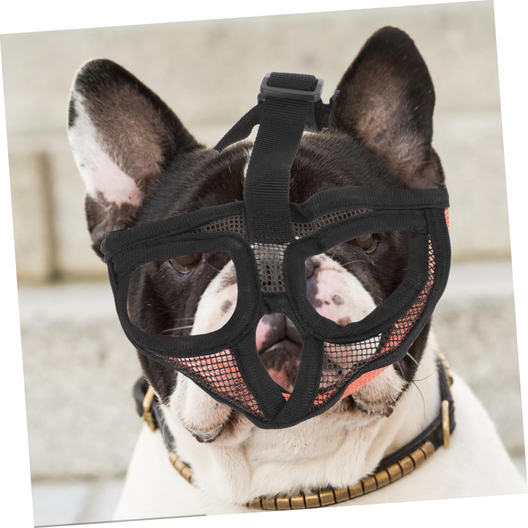 Toddmomy 4pièces Muselière Réglable Maille Respirante pour Bulldog Bouche pour Chiens Confortable Et Pratique Idéale pour Promenades Extérieur