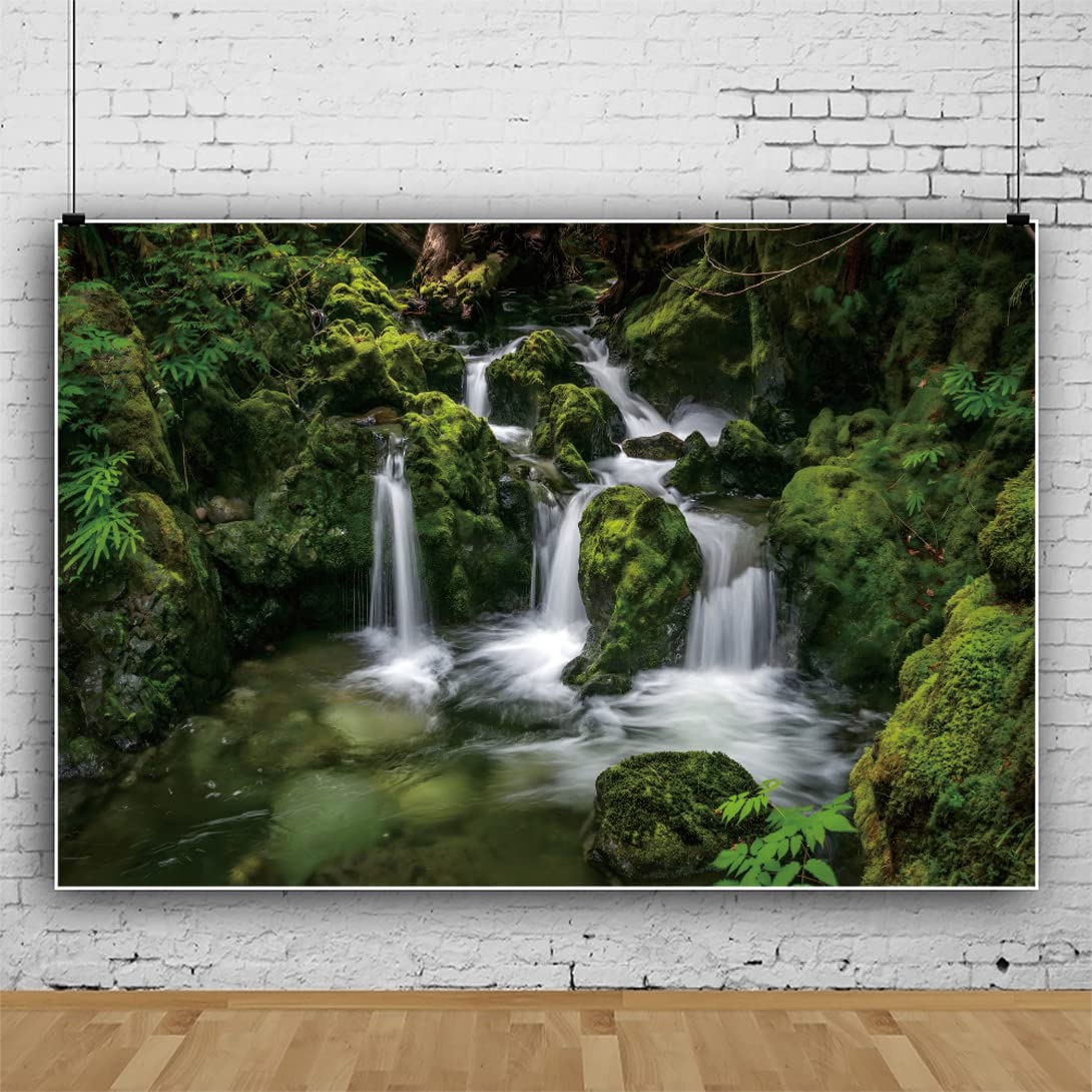 300x250cm Cascada telón de Fondo cañón Verde Musgo Piedra Fondo de Pared Selva Selva Bosque Paisaje fotografía Fondo para Estudio Retrato fotografía Accesorios