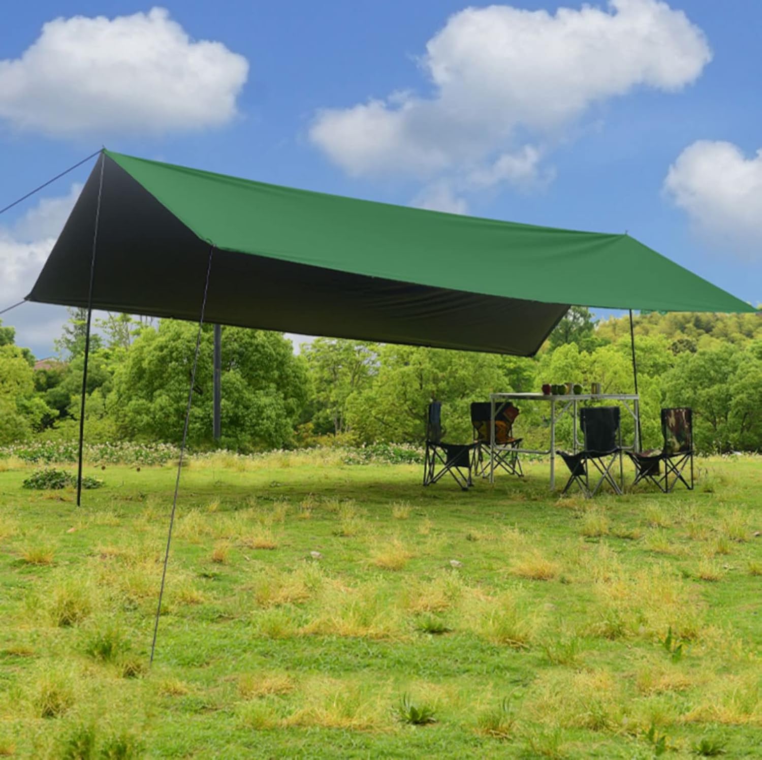 Tent Tarp with 2 Poles,Light Ripstop Waterproof Portable Tarp Multifunctional Outdoor Camping Traveling Awning Backpacking Tarp Shelter Rain Tarp PU3000mm-Anti-UV,Green (450x600cm(14.8x19.7ft)) ()