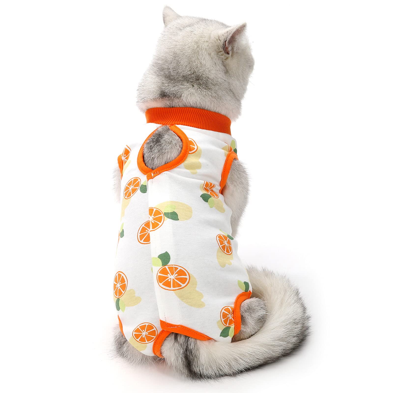 PAIDEFUL Cat After Surgery Dog Recovery Body Suit for Abdominal Wounds or Skin Diseases Cotton Breathable Surgical Recovery Suit for Cats E-Collar Alternative Anti Licking Wounds