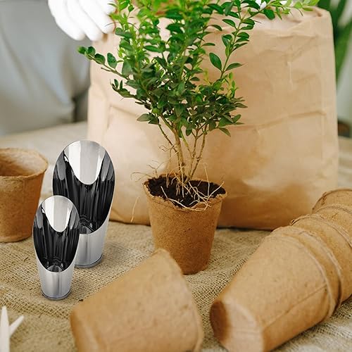 Miniatura 7 de 3 cucharas de acero inoxidable para jardín, palas de jardín de metal, palas para macetas de jardín, plantas suculentas, vegetación suculenta, pala