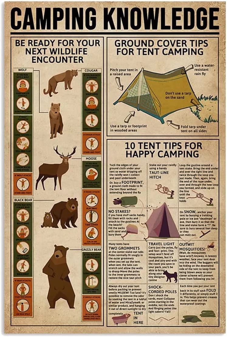 rayprint Camping Knowledge Metal Sign Wall Art Metal Plaque Infographic For Club Home Cafe Kitche Bedroom Garage Office Bar Guide Reference Chart Decor 8x12Inches