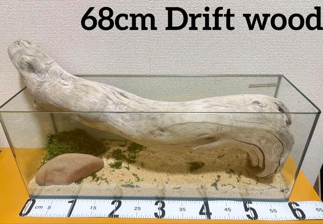 爬虫類 ウェットシェルター 29 ウェット シェルター