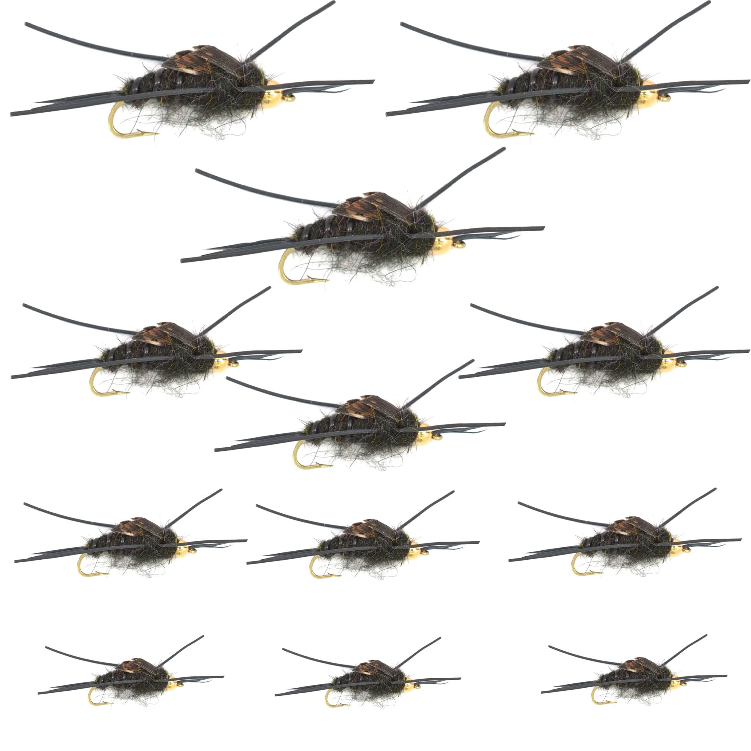 The Fly Fishing Place Bead Head Nymph Fly Assortment - Kaufmann's Black Stone Fly with Rubber Legs - 12 Flies Hook Sizes 4, 6, 8, 10