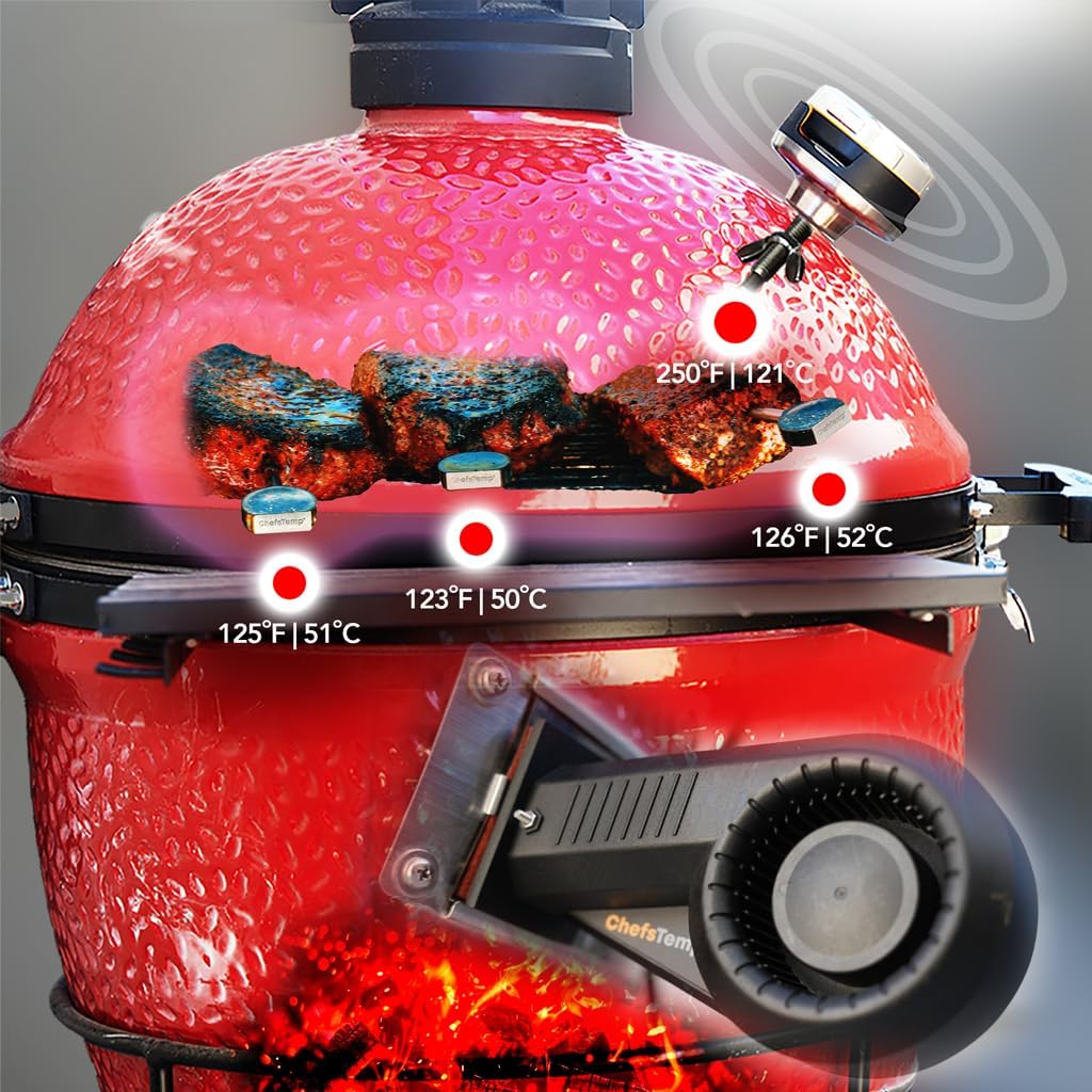 ProTemp S1 Termometro Smart per Barbecue (Non per Big Green Egg) | Accessorio di Ricambio Universale per Grill, Affumicatori, Weber e Kamado Joe Hub Wi-Fi e Bluetooth Brevettato