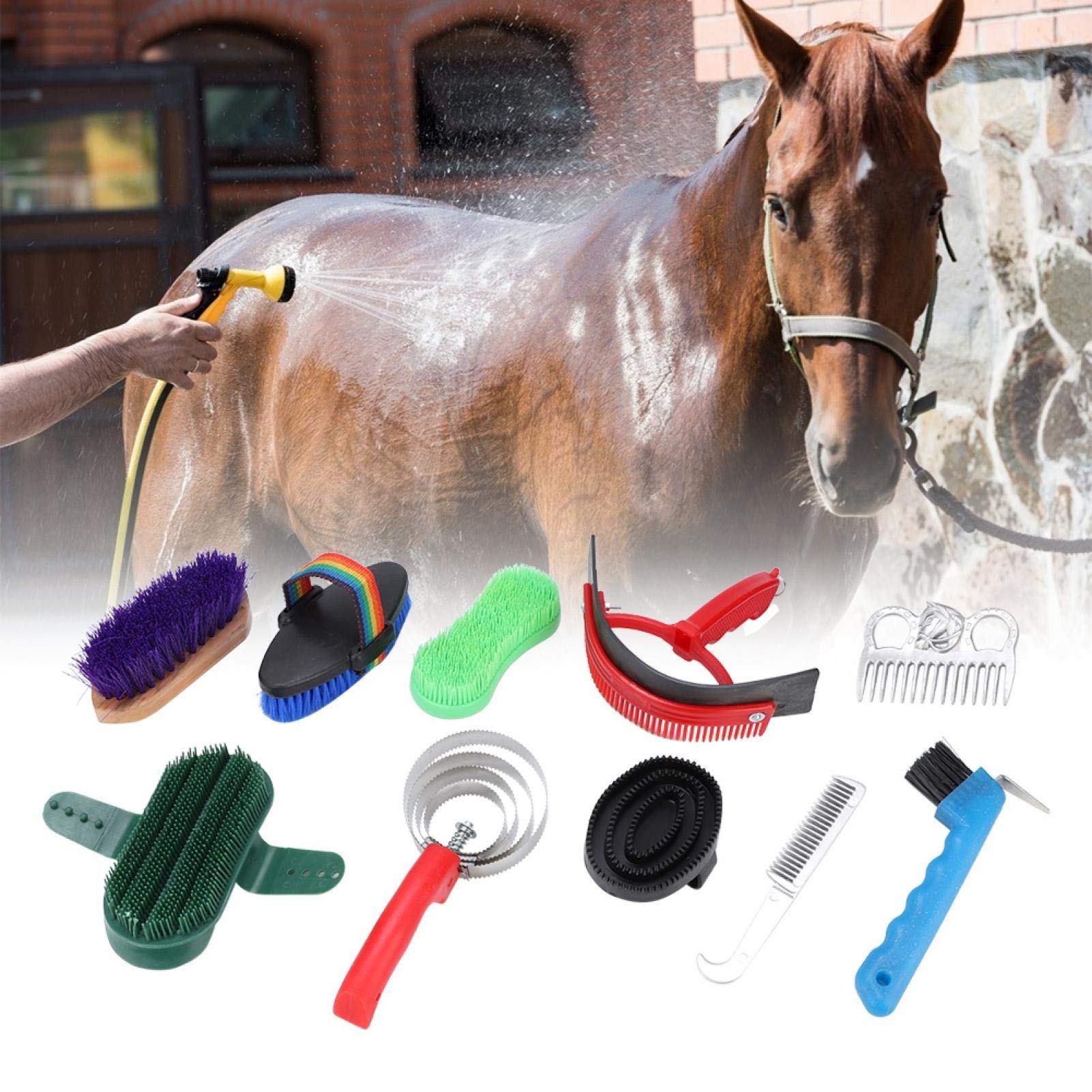 Paardenborstels & verdere poetsspullen voor paarden