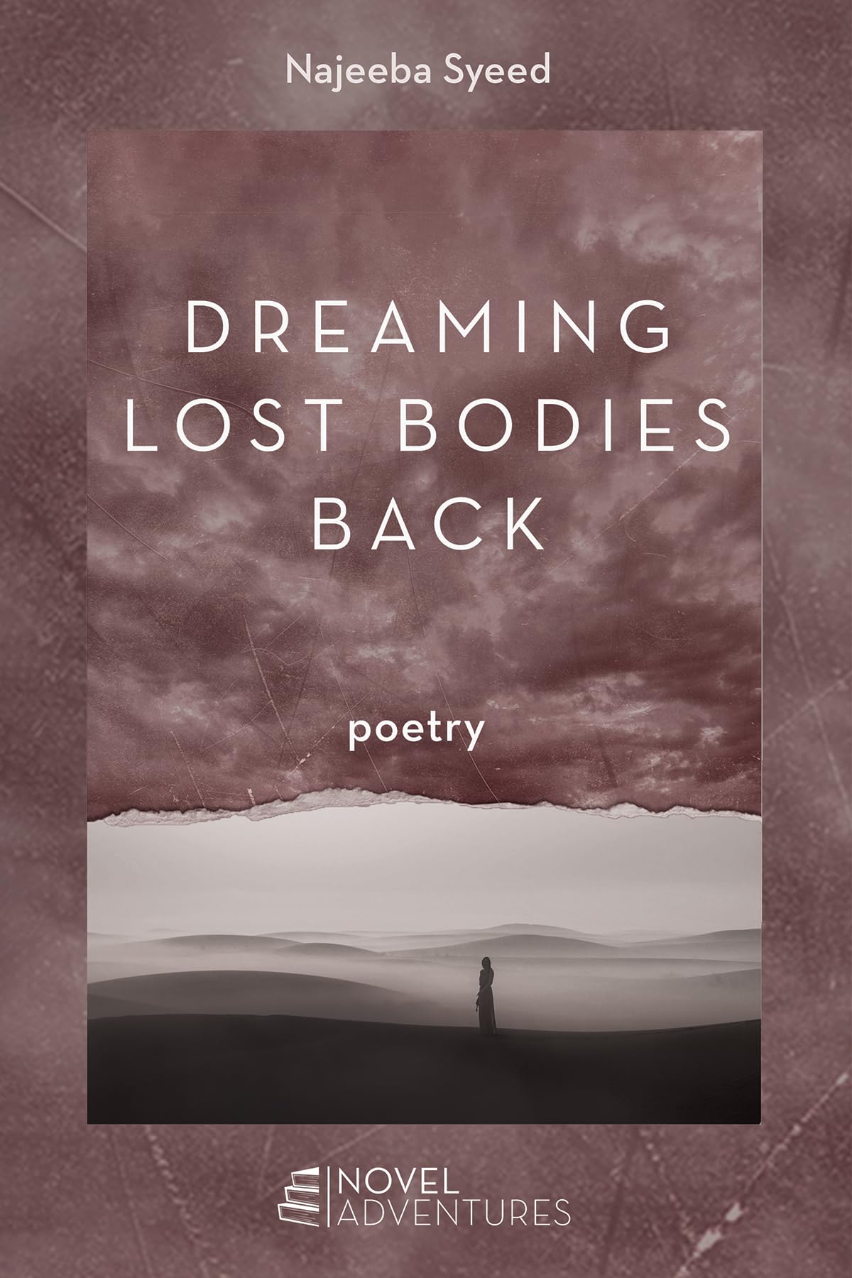 Dreaming Lost Bodies Back: Poetry (Novel Adventures)