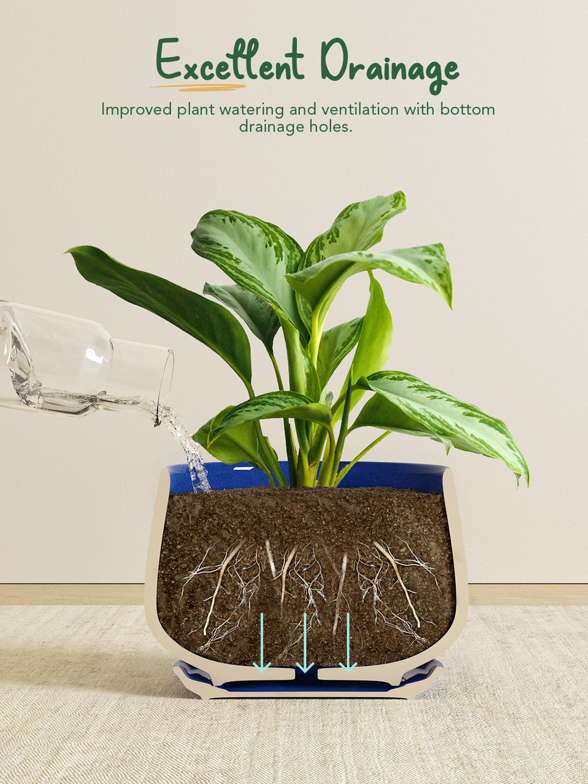 LE TAUCI Plant Pots, 10+13+16 cm Planters, Set of 3 Ceramic Planters with Drainage Hole and Saucer - Image 4
