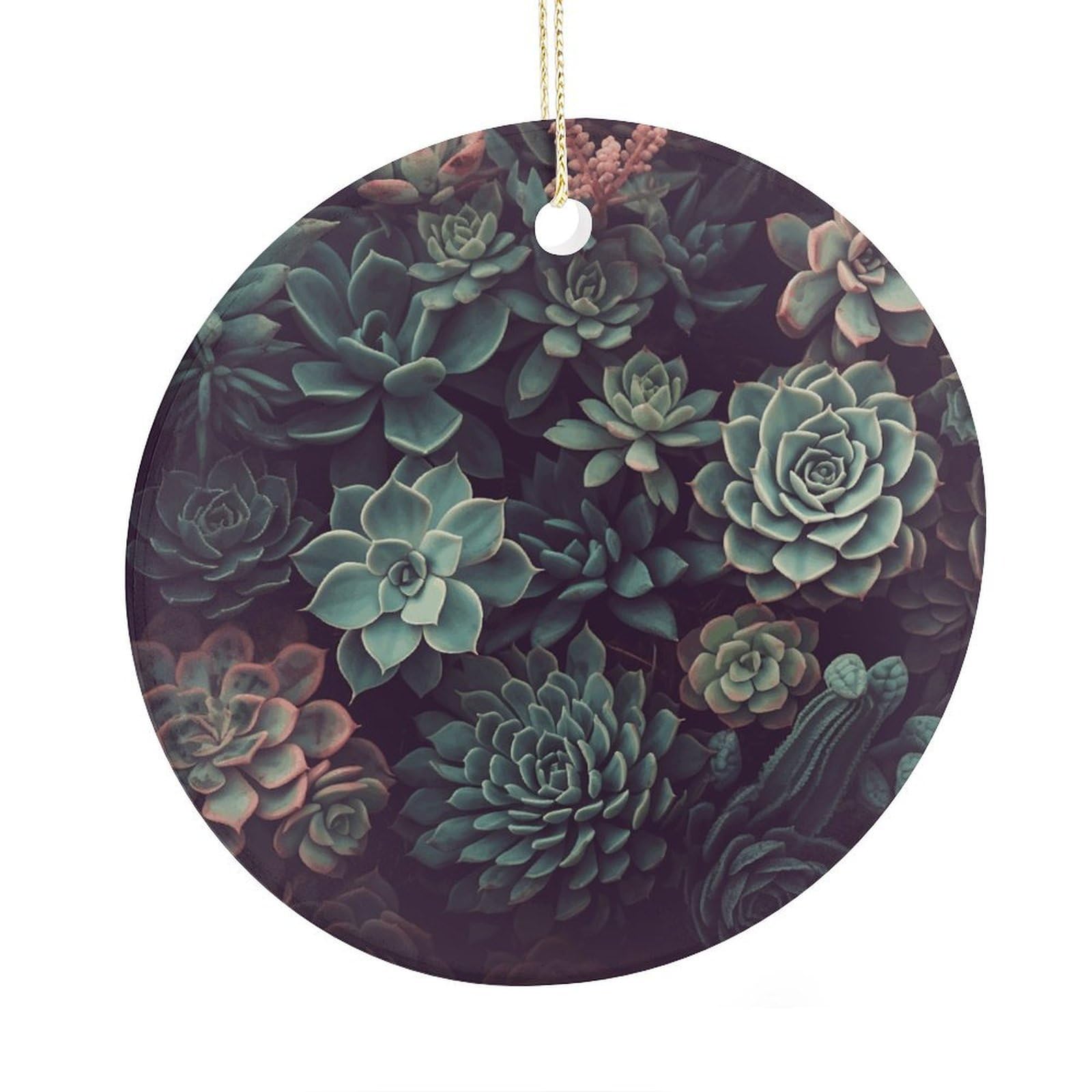 Adfgyerh Style Succulents2 Ceramic Circular Pendant,2.9 Inch，Hanging Ornament，Gift Exchange Idea Round Ceramic Ornament,For Mom And Daughter，For Home Indoor Outdoor Decor.
