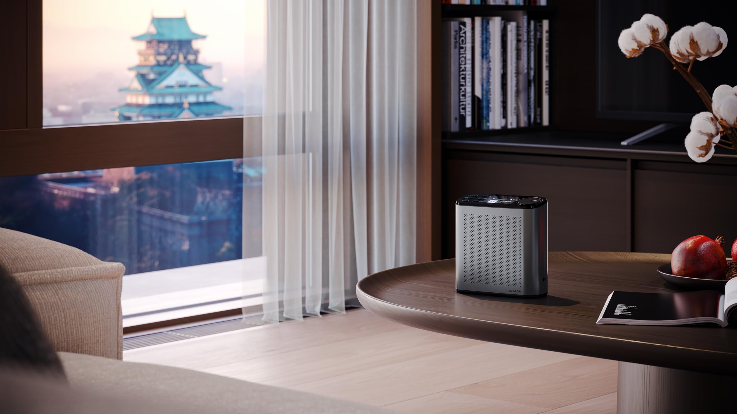 SHARP DR-P530 OSAKA Radio digitale portatile, Grigio tempesta | Radio DAB+/FM, Bluetooth 5.3, BestTune™, display a colori 2,4", batteria Li-Ion e USB-C