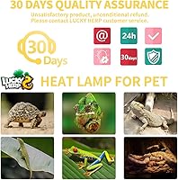 Vista 7 de LUCKY HERP Paquete de 3 bombillas de calor para reptiles de 100 W (3ª generación, más segura), bombilla de calor UVA anfibio, bombilla de luz diurna