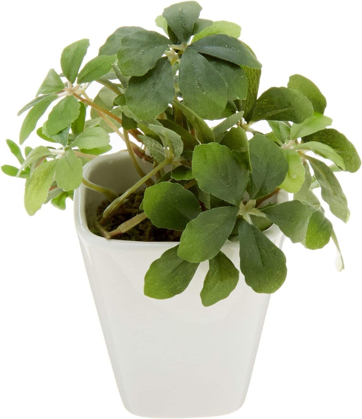 Amazon Co Jp ケーアイジャパン インテリアグリーン 造花 観葉植物 光触媒 フェイクグリーン Ku シュガーバイン 全長 14cm 白 陶器 スクエア ポット ホーム キッチン