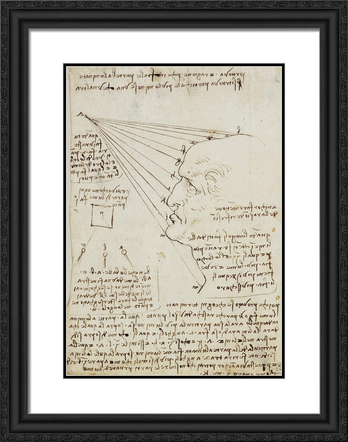 ArtDirect Da Vinci, Leonardo 19x24 Black Ornate Framed Art Print with Double Matting Titled: Study of the Effect of Light on a Profile Head