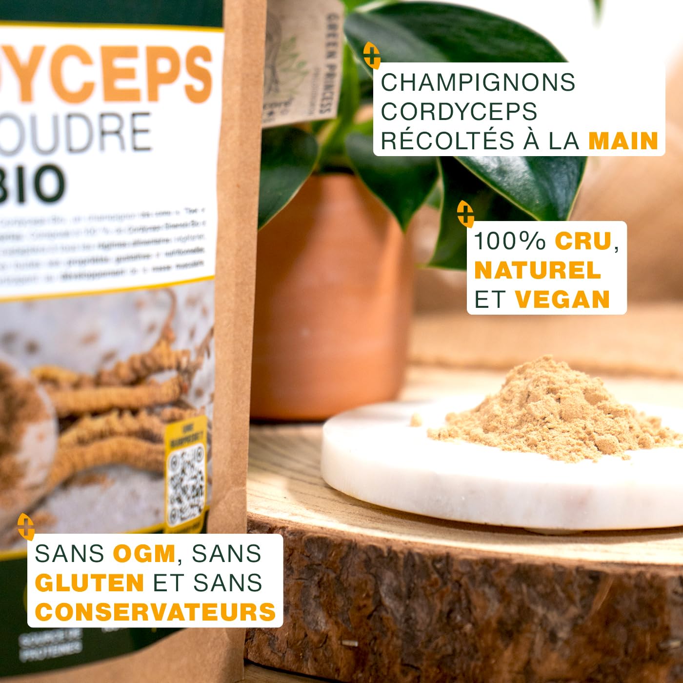 Cordyceps en Poudre Bio 150G | Qualité Supérieure | Anti-fatigue, Anti-stress, Énergie, Immunité