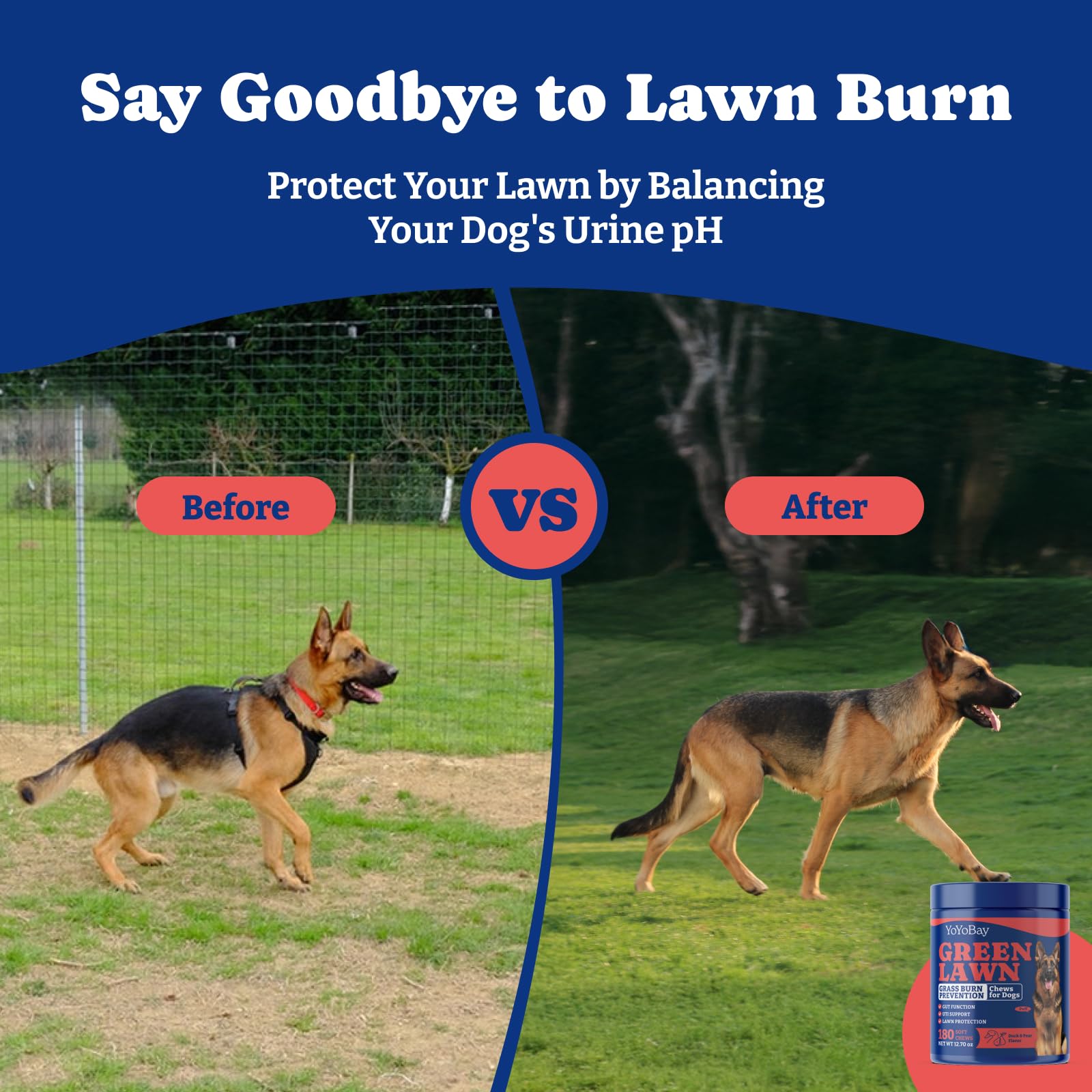 YoYoBay Dog Urine Neutralizer for Lawn - 180 Chews Grass Savers for Dog Urine, Green Grass Dogs Chews with DL-Methionine, Dogs Pee Grass Neutralizer for All Breeds + Ages, Duck & Pear Flavor