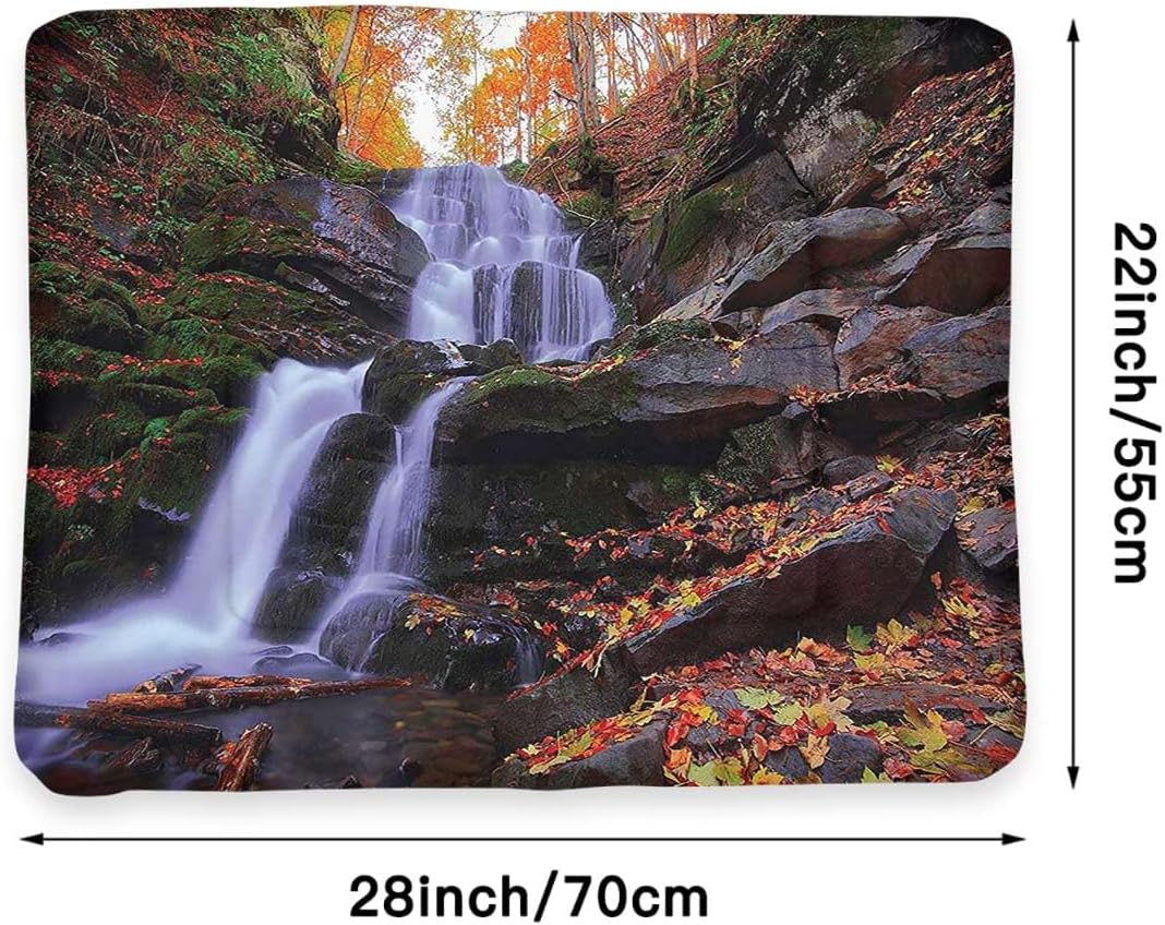 review Orange Green Brown Thermal Pet Mat Bed Liner Mountain Waterfall Autumnal Forest Cozy Self Heating Warming Kitty Kitten Puppy Small Dog Bed Outdoor 22