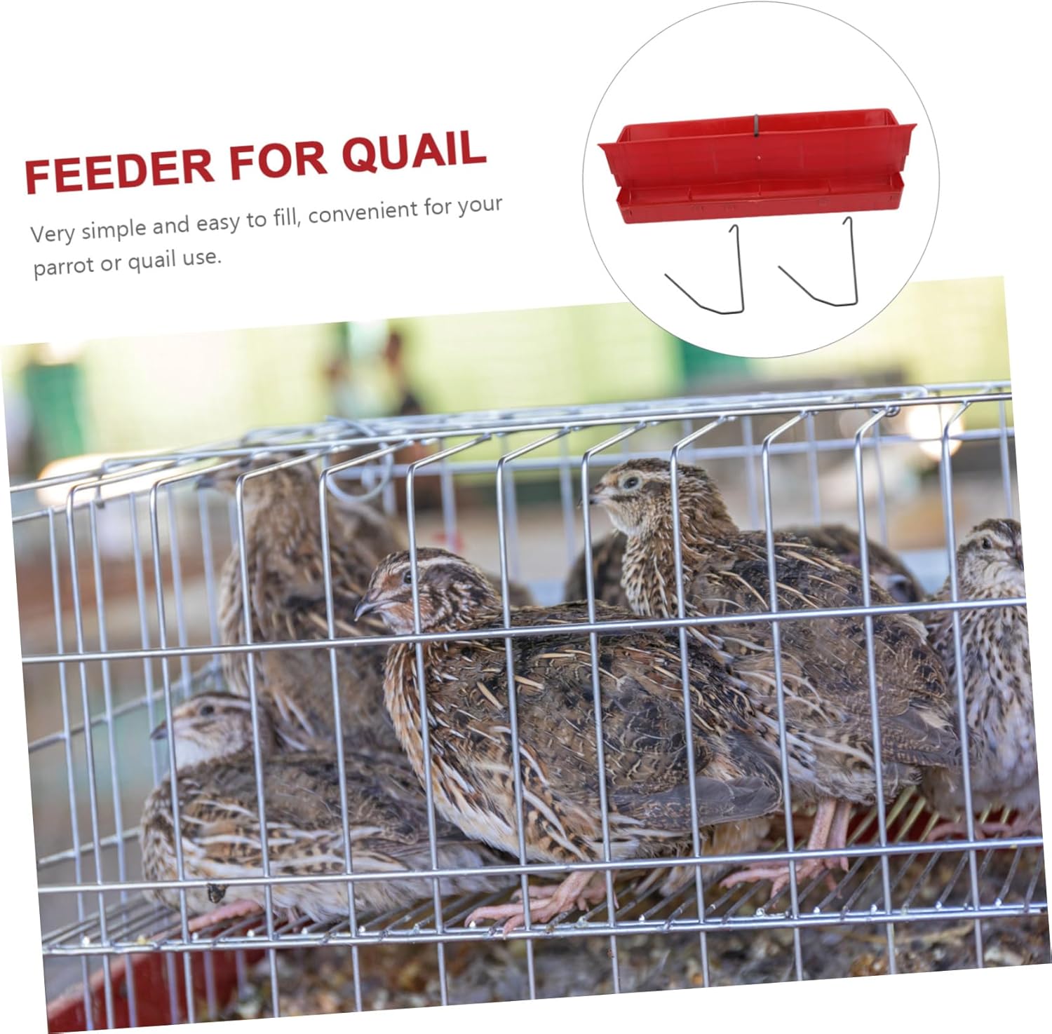 Semi-Automatic Quail Feeder for Quail Cages Convenient Poultry Feeding Accessory 1-Unit Food Container for Easy Feeding
