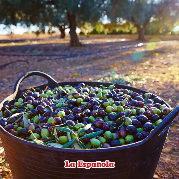 Aceite de Oliva Extra Virgen La Española 24 fl oz Lata miniatura 6