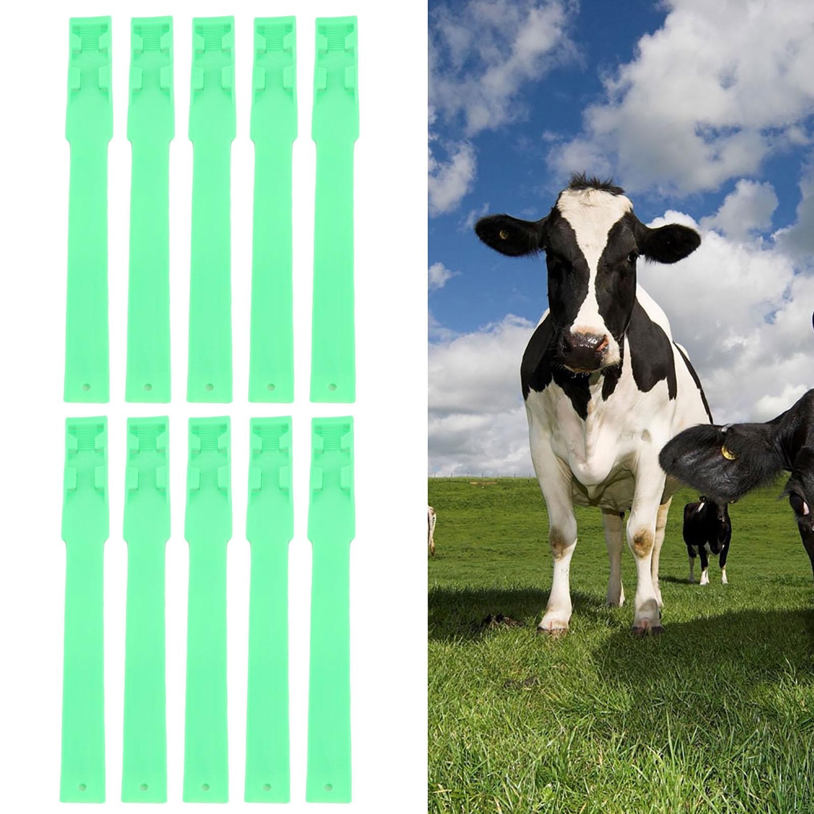 Anneaux de Marquage Colorés pour Bétail, 10 Pièces, Bandes D'identification de Vache en Plastique pour le Bétail (Vert)