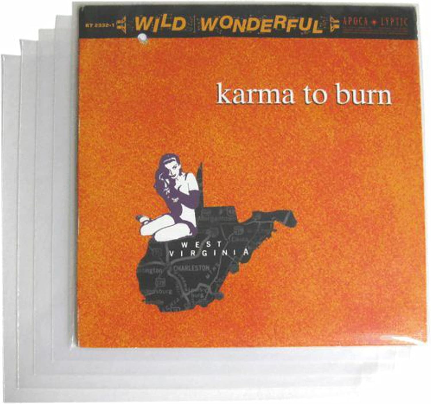 (500-Pack) 10 inch 78rpm Clear Vinyl Record Outer Sleeves – Heavy-Duty 3 Mil High-Clarity Polyethylene, Flush Cut, Archival-Quality Protection for Album Covers – Shields Against Dust, Scratches & Wear