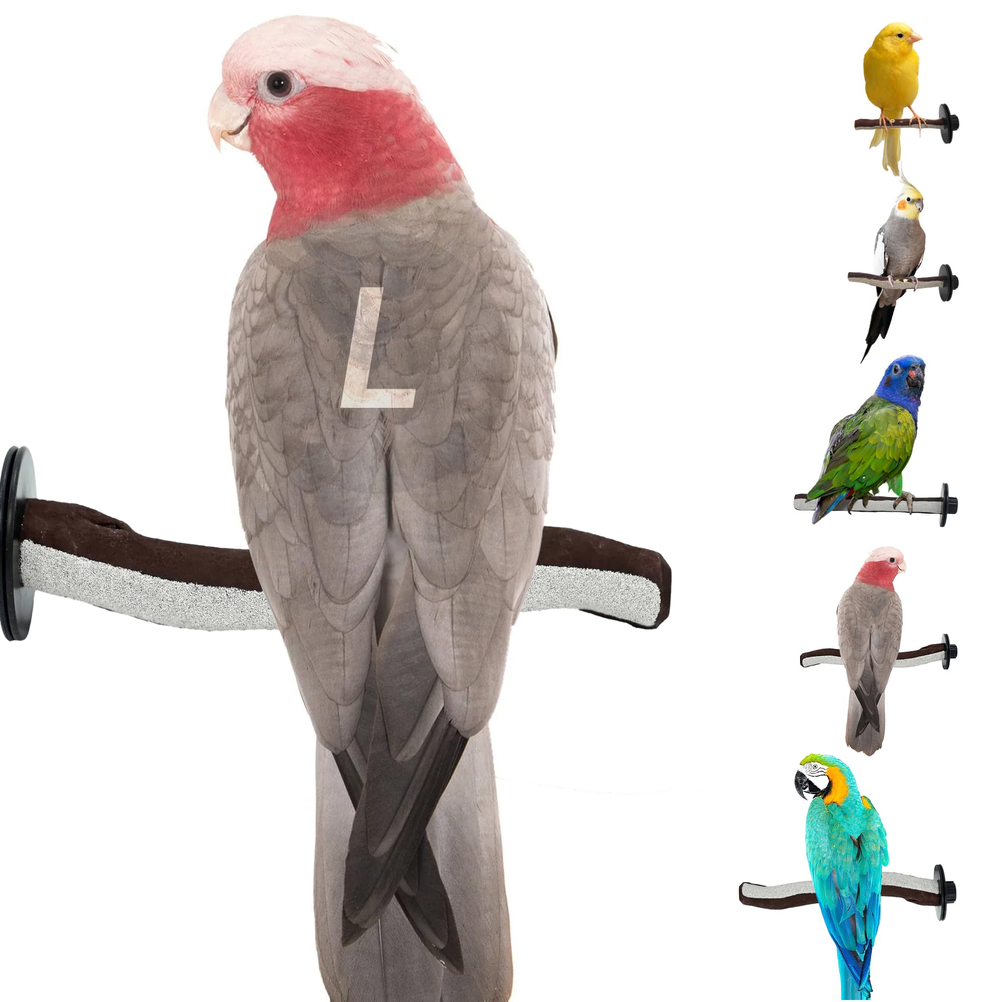 SWEET FEET AND BEAK Superoost Manzanita Pumice Pedicure Perch- Easy to Install Bird Cage Accessories for Healthy Feet, Nails and Beak - Natural Bird Perches Imitates Birds' Life in The Wild - L 12"