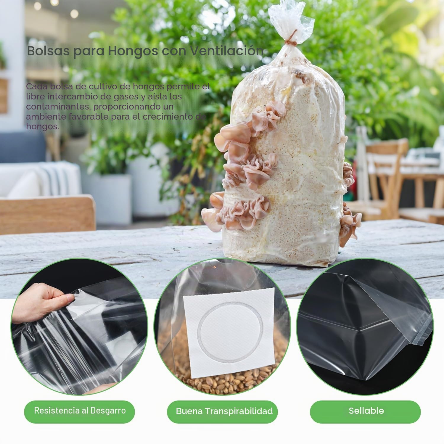 60 Piezas Bolsas de Cultivo de Hongos de 18 x 35 cm con Filtro Transparentes Juego de Cultivo de Hongos Saco de Cultivo de Setas Bolsa de Cultivo de Setas Accesorios para Cultivo