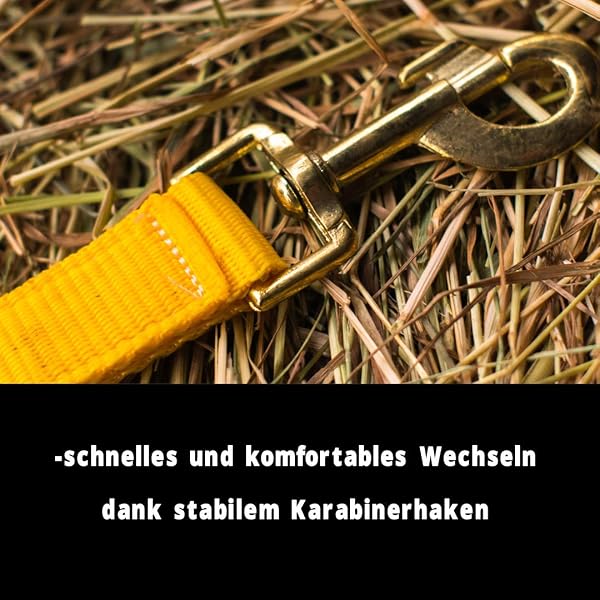 Pferdelinis Halfter für Pferd Warmblut, Vollblut, Kaltblut – Stallhalfter, Weidehalfter, 2 Fach verstellbar an Kinnriemen und Genickstück, sicher & reißfest (Gelb, Kaltblut) - 2