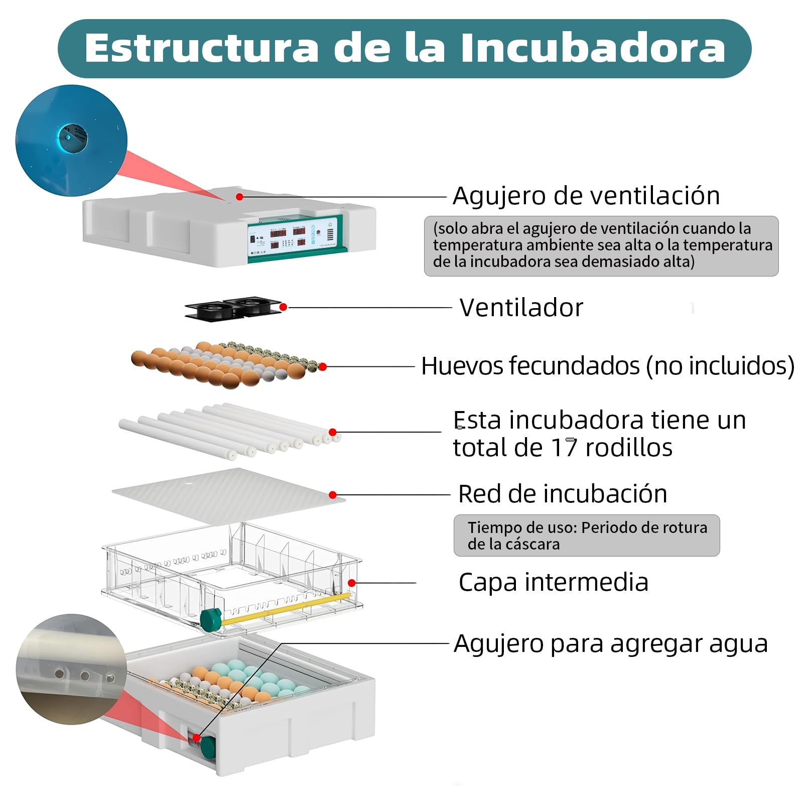 Incubadora Huevos Gallina, Incubadora de 120 Huevos, Incubadora Automática con Monitoreo de Humedad, Volteo Automático de Huevos y Lámparas de Huevo