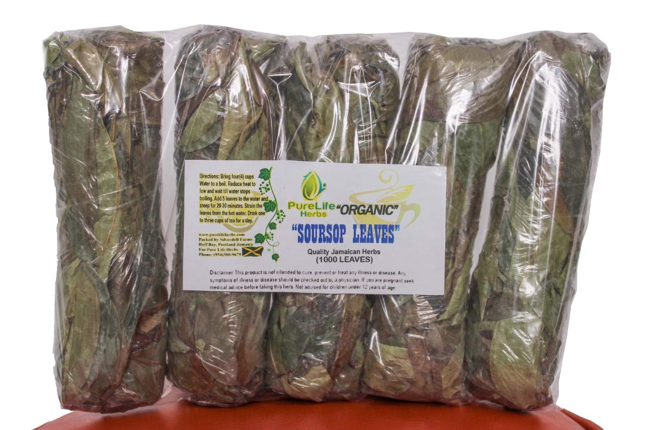 Purelife Herbs 1000 Soursop Leaves Organic Buy Online at Best