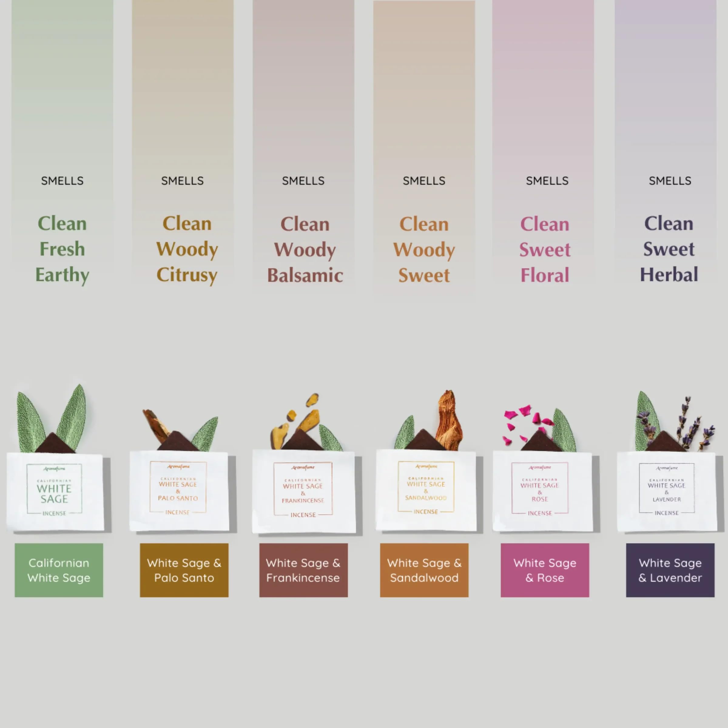 Juego de regalo de ladrillo de incienso sin humo de salvia blanca y quemador de árbol de la vida Aromafume | 12 ladrillos | Salvia blanca con rosa, lavanda, palo santo, sándalo, incienso | salvia para limpieza, manchas sin humo