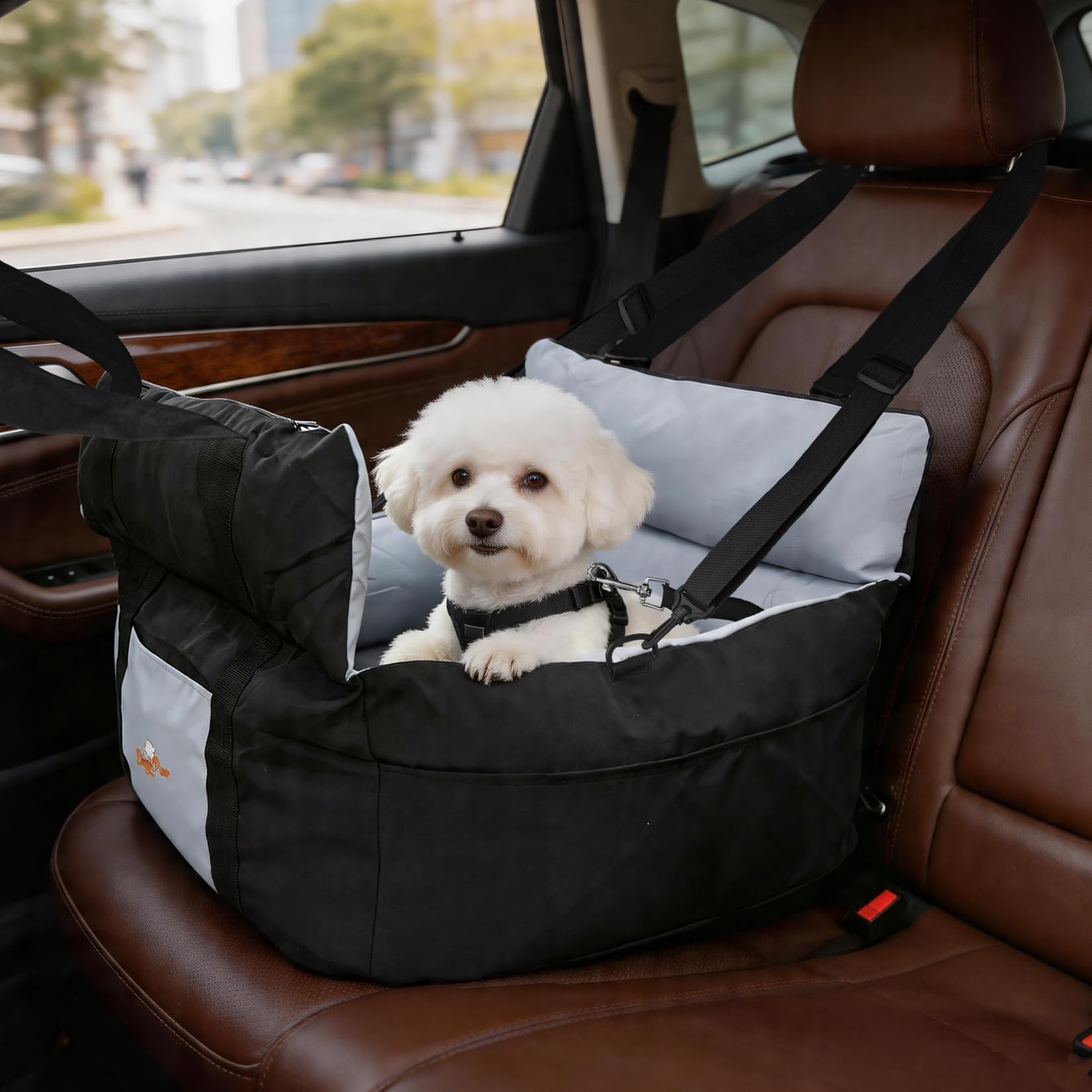 BingoPaw Siege Auto Chien Voiture: Panier Voiture Portable pour Chiens de Petite à Moyenne Taille avec Détachable et Lavable Coussin, Noir