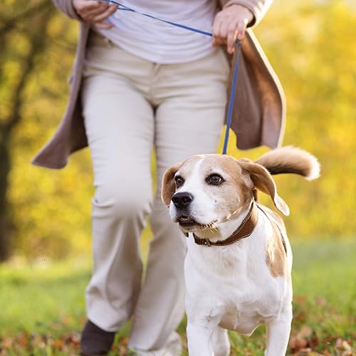 Vista 13 de 30 correas antideslizantes para perro, cuerda para mascotas, correas para perreras con anillo tórico, duradera para perros y entrenamiento