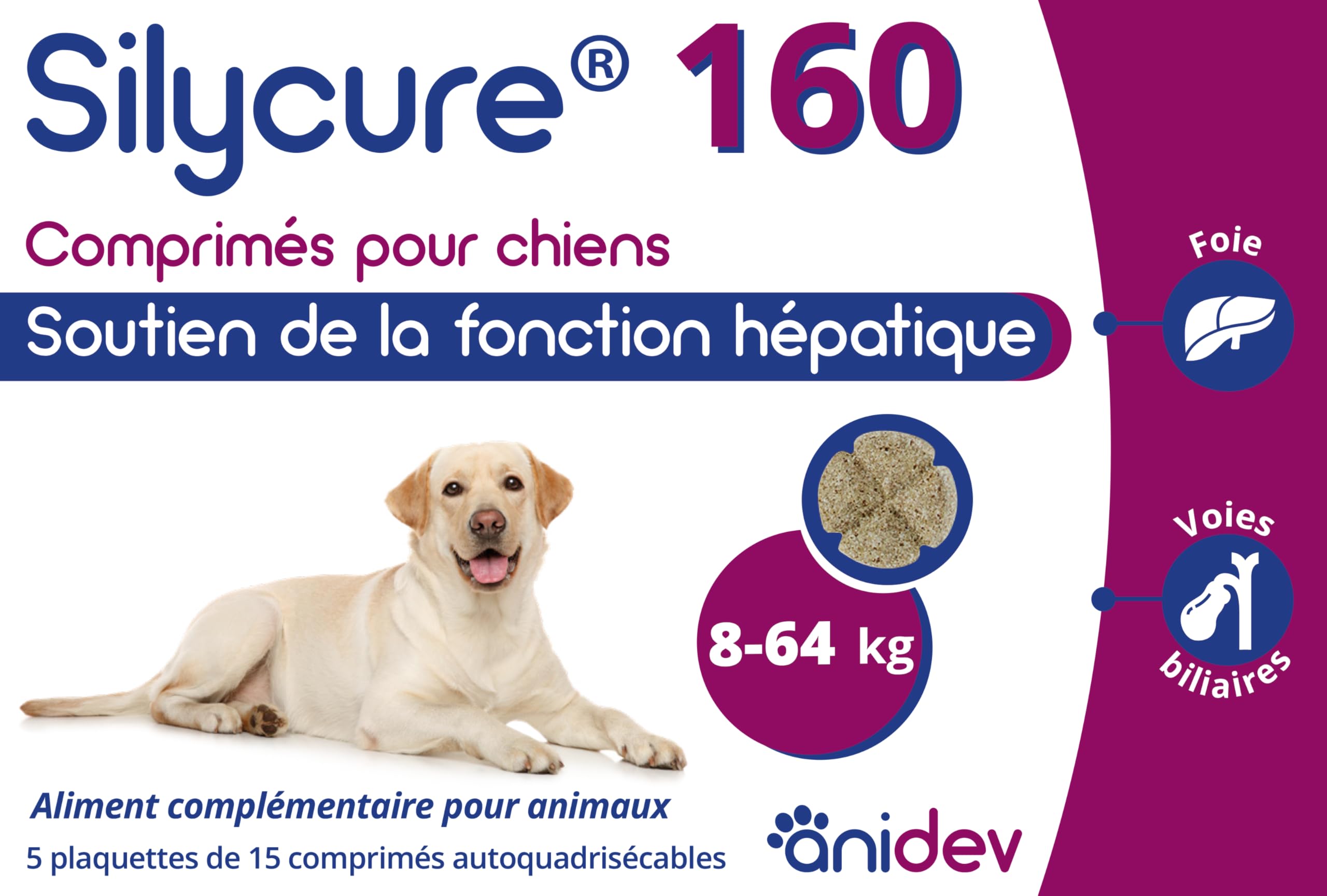 ANIDEV Silycure 160 - Aliment complémentaire Soutien Fonction hépatique Chien - Silybine Chardon Marie - Comprimés appétents quadrisécables - 75 comprimés