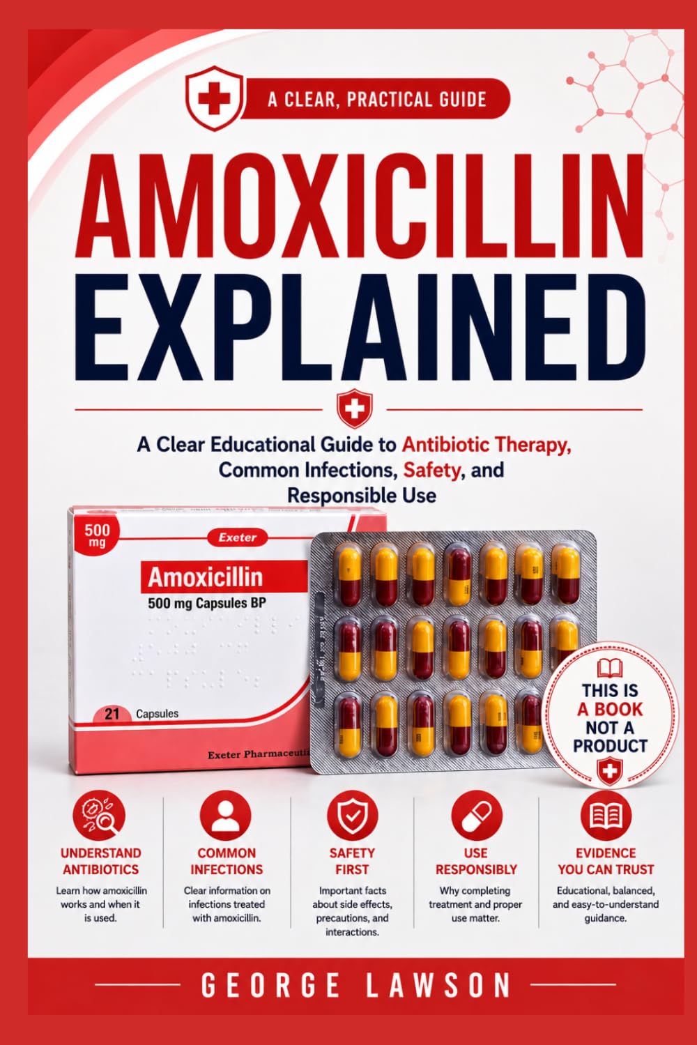 Amoxicillin Explained
