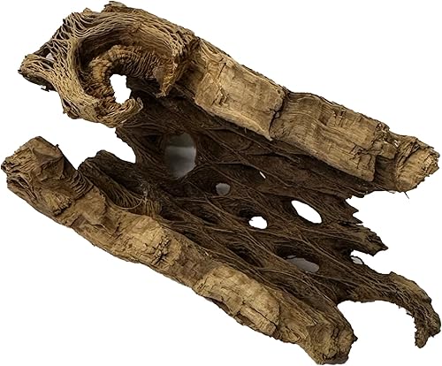 Vista 18 de Soportes de exhibición de plantas de aire grandes de madera cholla natural, soportes decorativos individuales únicos o soporte