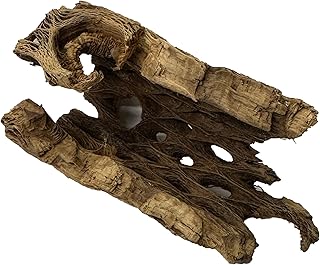 Natural Cholla Wood Chunk Air Plant Display Holders Individually Unique Decorative Stands Holder (Cholla Chunk)