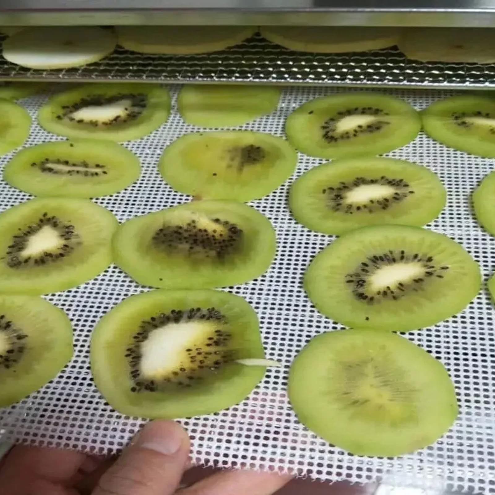 5 Piezas Hojas Deshidratadoras de Silicona, Esteras Deshidratantes de Fruta Antiadherente, Tabla de Deshidratación Reutilizable, Estera de Cocina de Malla Cuadrada para Frutas, Verduras y Carnes