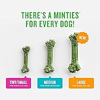 Vista 6 de Minties Masticables dentales para perros, 60 unidades, golosinas con sabor a menta recomendadas por veterinarios para perros medianos de 25 a 50