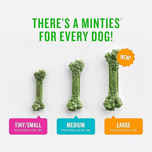 Miniatura 6 de Minties Masticables dentales para perros, 60 unidades, golosinas con sabor a menta recomendadas por veterinarios para perros medianos de 25 a 50