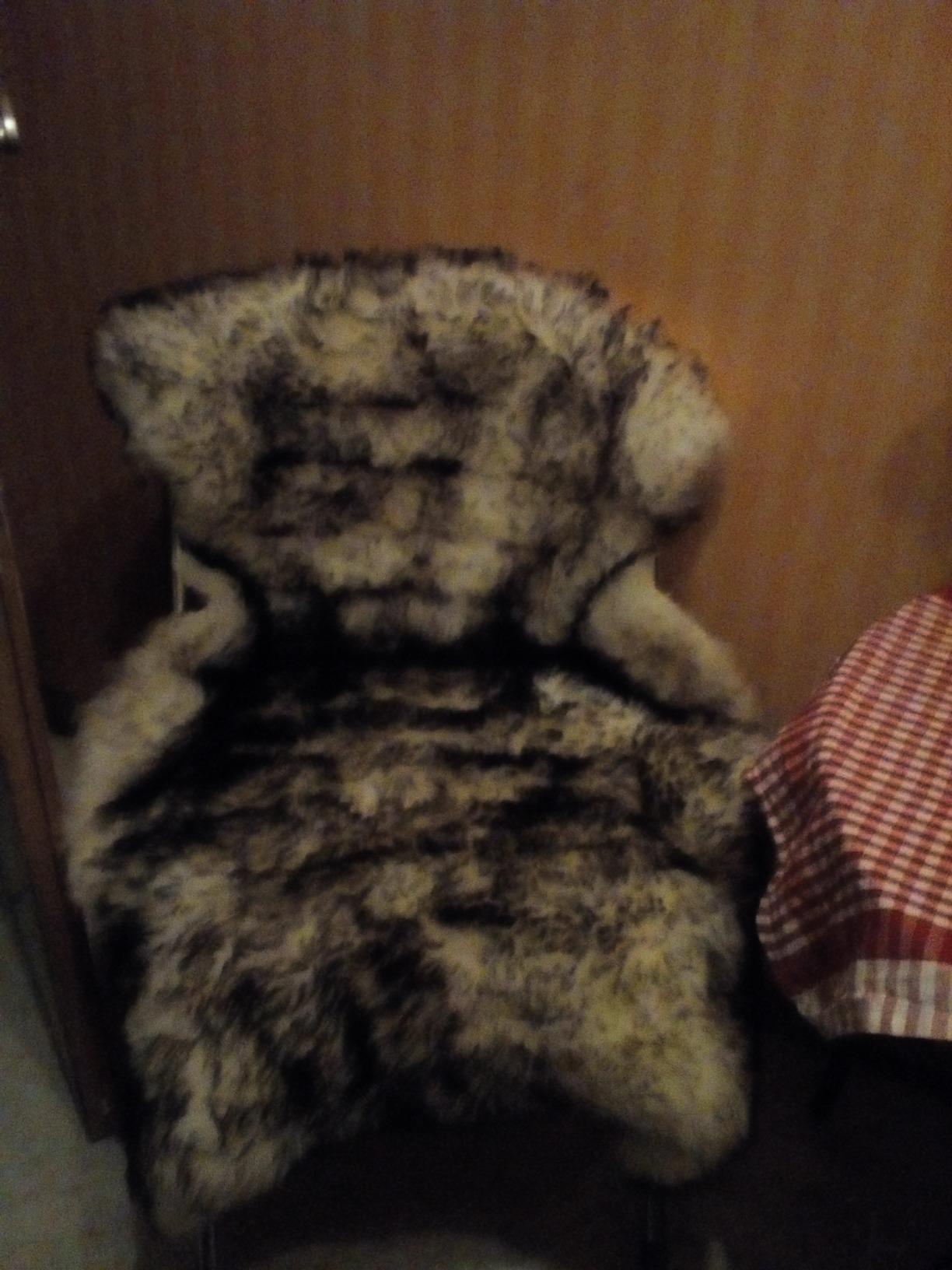 Geflamtes Lammfell Schaffell - Geschoren, Merino Läufer Als Dekoration Oder Sitzunterlage Geflamtes Lammfell Schaffell - Geschoren, Merino Läufer Als Dekoration Oder Sitzunterlage
