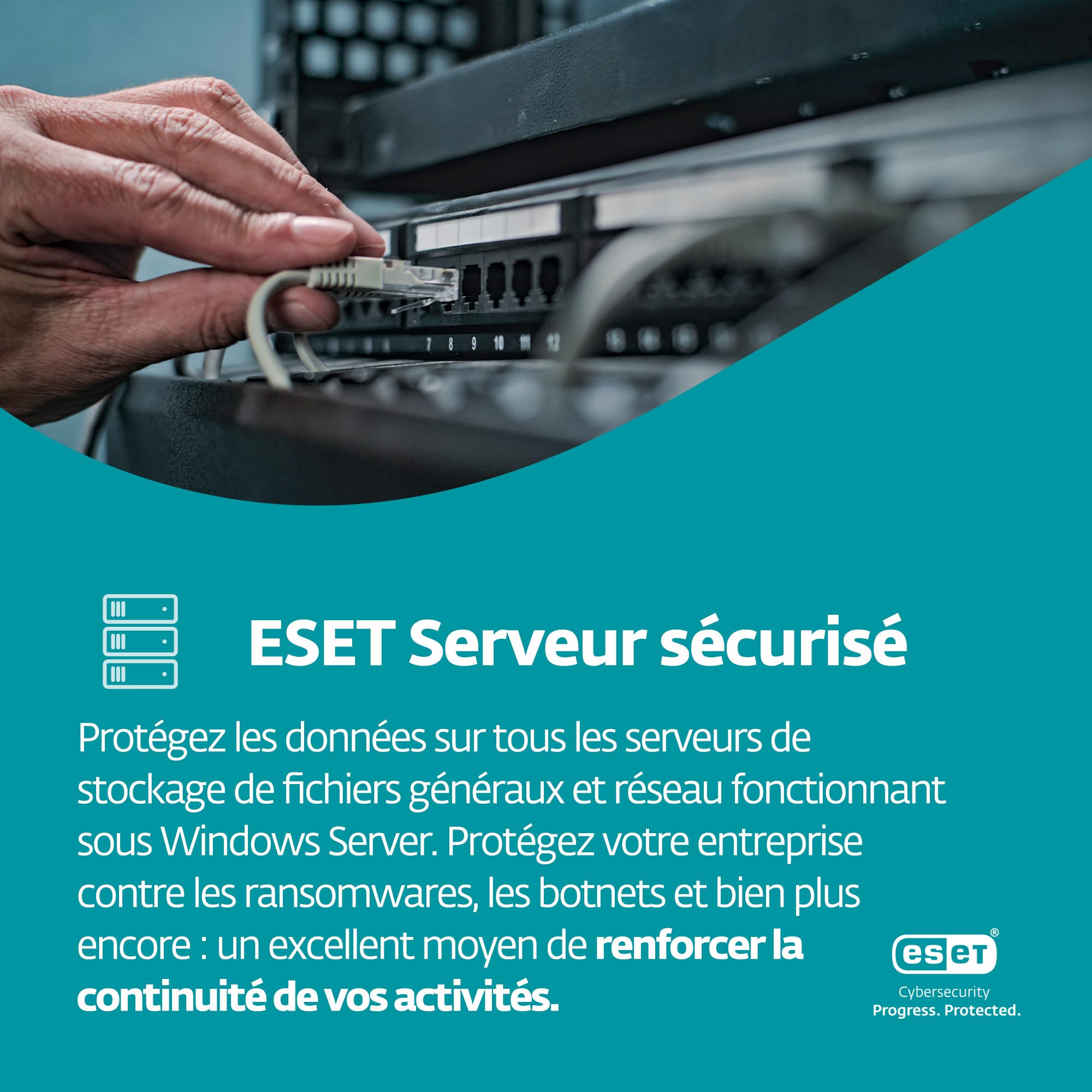 ESET Small Business Security | 10 appareils | 1 an | Antivirus, Banque sécurisée, Ransomware Remediation, VPN, Secure Data, Protection des serveurs | Clé d'activation par e-mail