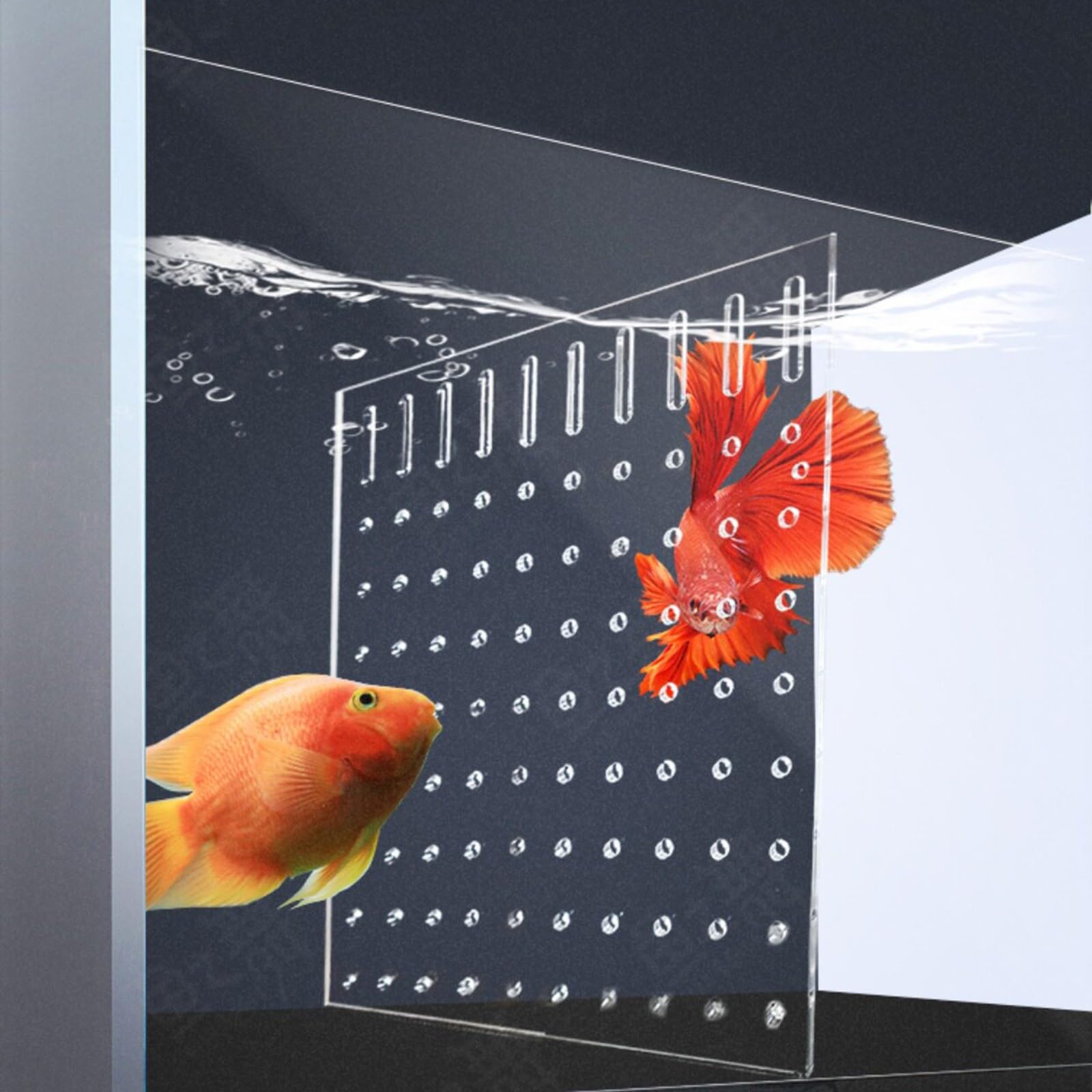Séparateur D'aquarium avec Ventouse, Plaque De Séparation en Acrylique Transparent, Séparateur Universel pour Aquarium, Polyvalent pour L'isolement des Poissons(8mm Thick)