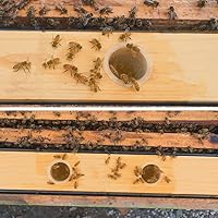 Vista 6 de Alimentador de colmena de abeja de 6L, alimentadores de abejas para colmenas,Alimentadores de marco para colmenas de abejas,Alimentador de alimentos